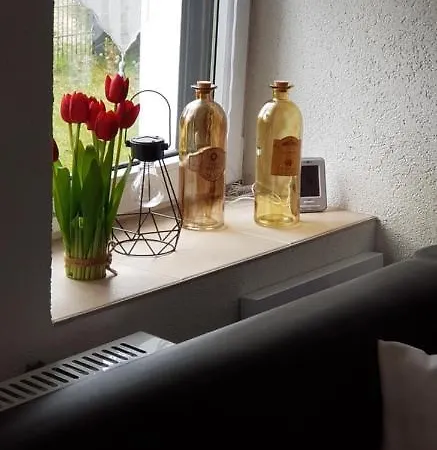 דירה Kuehnhaide Im Erzgebirge Kuhnhaide