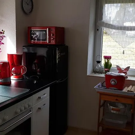 Kuehnhaide Im Erzgebirge דירה