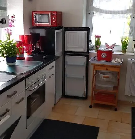 Kuehnhaide Im Erzgebirge *