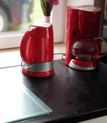 Kuehnhaide Im Erzgebirge 아파트 *