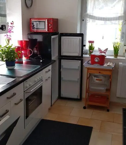 Kuehnhaide Im Erzgebirge *