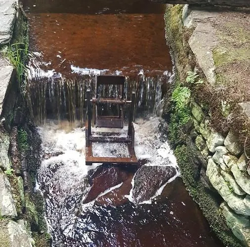 아파트 Kuehnhaide Im Erzgebirge *